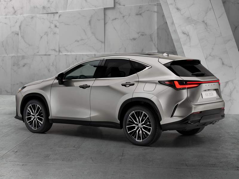 LEXUS NX